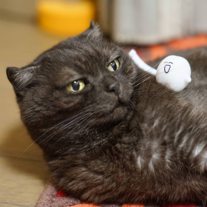 Db47d416 3a4f 4cf8 a13c ff7dc16176b2 1623251291921