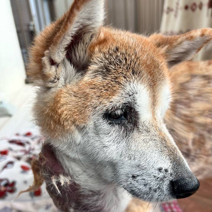 Db481a41 8ab5 432b 863b 2e7024e30873 1763269548337