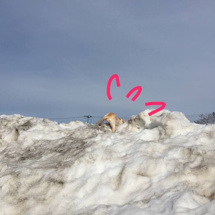 Db481b4c 49c8 497c a1bd 6b63934b0699 1520404978576