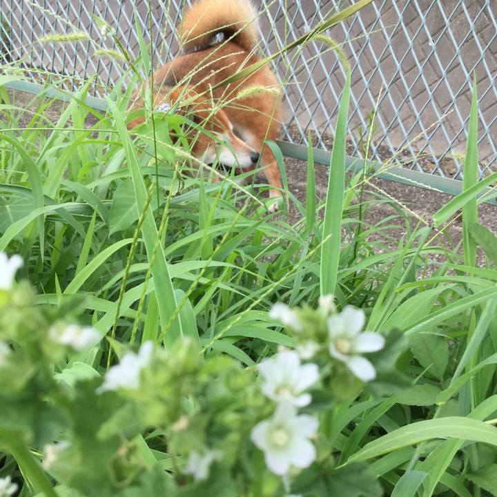 Db482b54 ec62 4120 86b5 dffe2388d05d 1598058669782