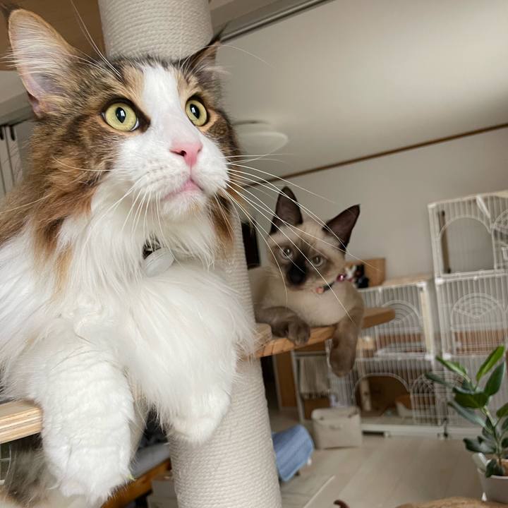 Db482e9d 54c8 4795 ac1b ea3ff0403fa1 1695247502863