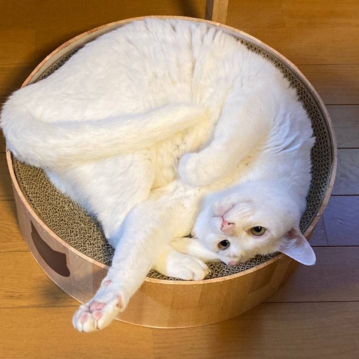 Db48521b be83 48ee 8e4c 219e968f3634 1643882471398