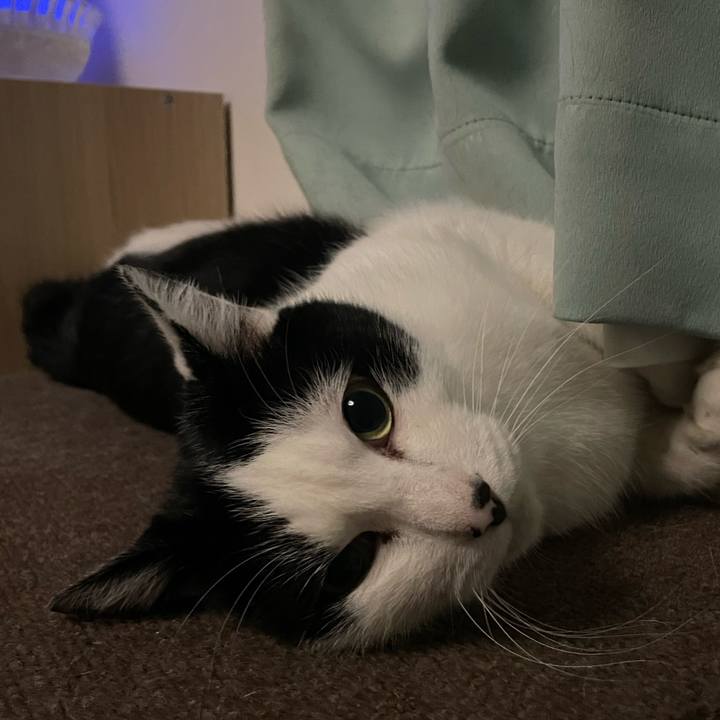 Db48a20d c76b 4966 803b a6656dfc88c7 1669808160943