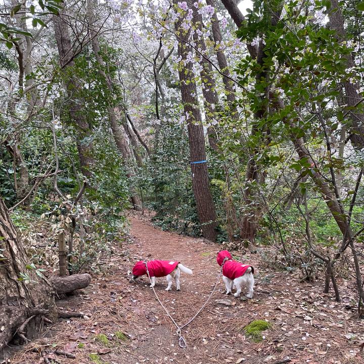 Db48a361 73ae 49e4 bb4a 599470542ffb 1680823352008