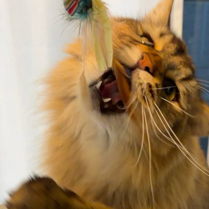 Db48b9e0 03a8 43c0 b331 545d8e78c283 1765406987353