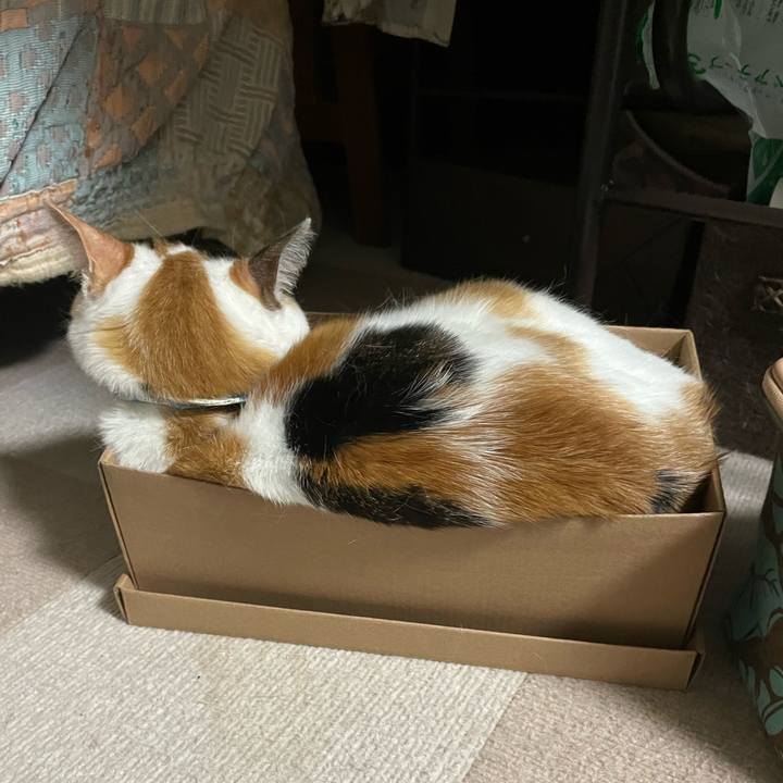 Db48c803 5278 46e4 9b7d 2c7cba2646ff 1717166594953