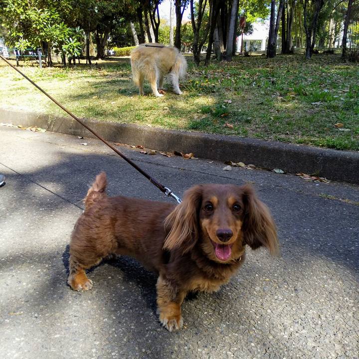 Db48dfb6 3e19 4360 b0fd e2d24e69b3d7 1555727134506