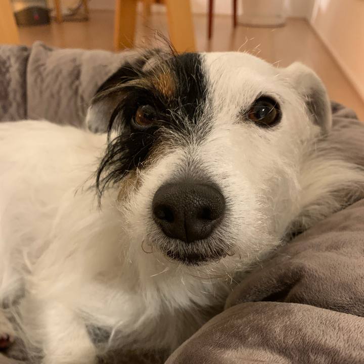 Db48f842 dc59 426d 8a62 64a9a0e944fe 1584878807286