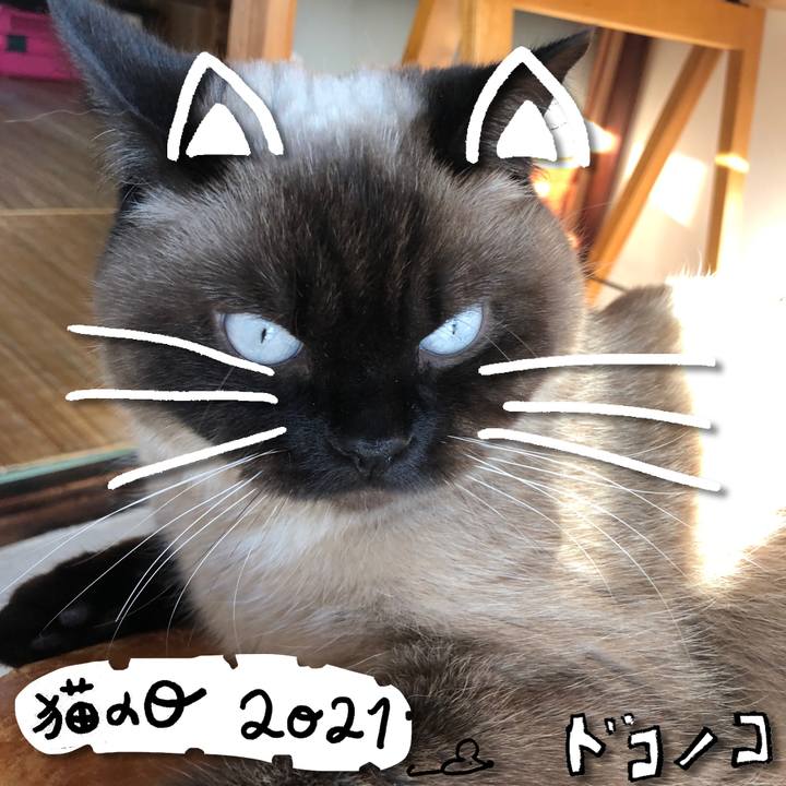 Db491280 21d0 4d5d b49e d19b4a5581c8 1613979172196