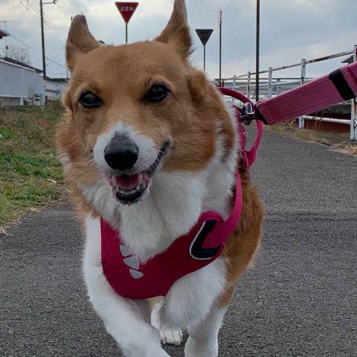 Db495d70 18c0 4570 a4e2 9ca22d68feff 1702261110464