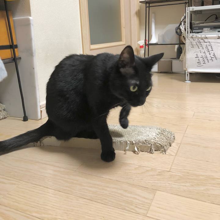 Db4978c1 2c9a 4933 8c30 34644736b64c 1620561734954