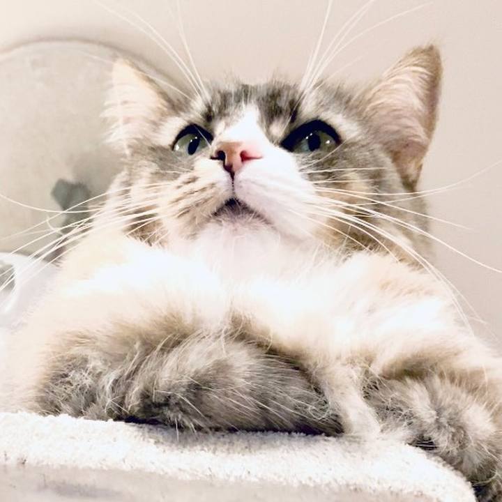 Db497c75 85ce 44c9 bcfe dcc171a1220e 1646934890982