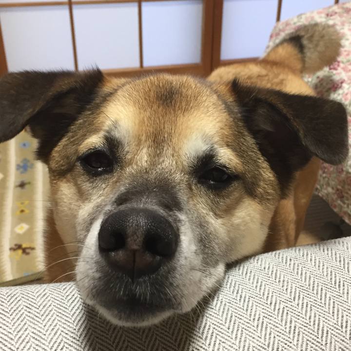 Db49a8f8 d880 45b1 960c 27ef5cfc3493 1557483127287