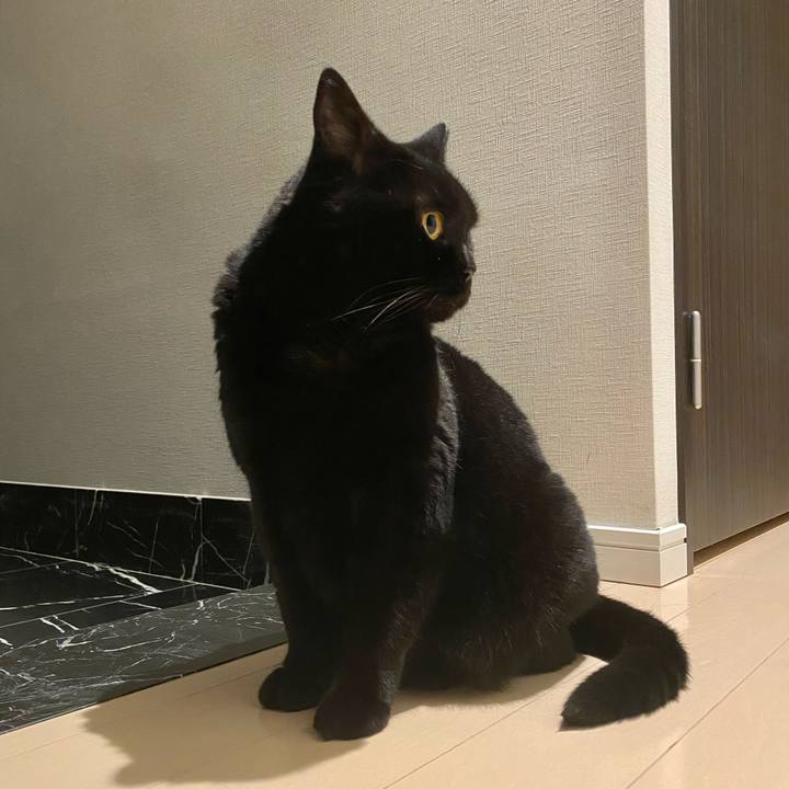 Db4a091d b5f8 4eb1 8eac d3b03fb05ce8 1688388108943