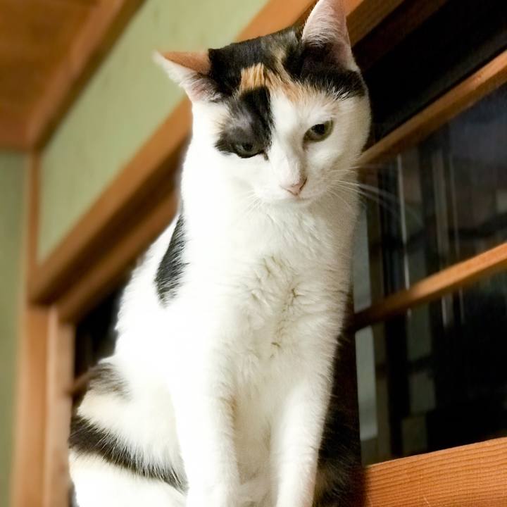 Db4a50a3 25cd 4a23 a63e e99e147e2daa 1534517449058