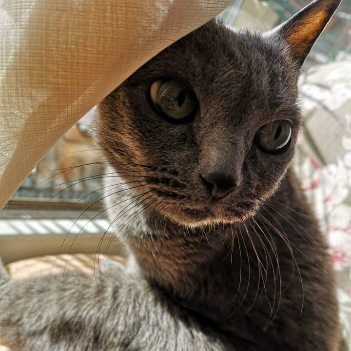 Db4a8166 6c21 418b 8d8f cf6b4f48c19f 1582506005863