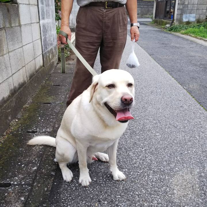 Db4a864f 860a 4ef3 a4fa bc3c81a2e6bc 1563671408403