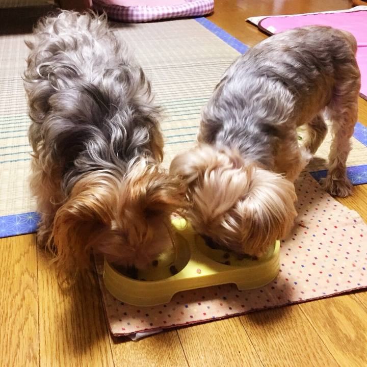 Db4a906d 872c 4299 9b82 8c96ccf2a7f5 1534764172775