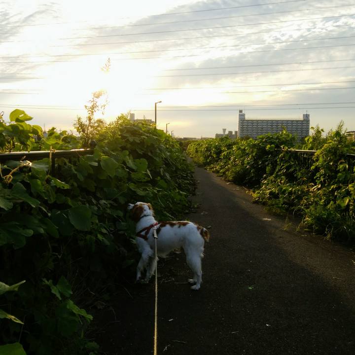 Db4aa7c9 0cc9 41c9 b1f2 0d71b4bcdbdf 1538477783230