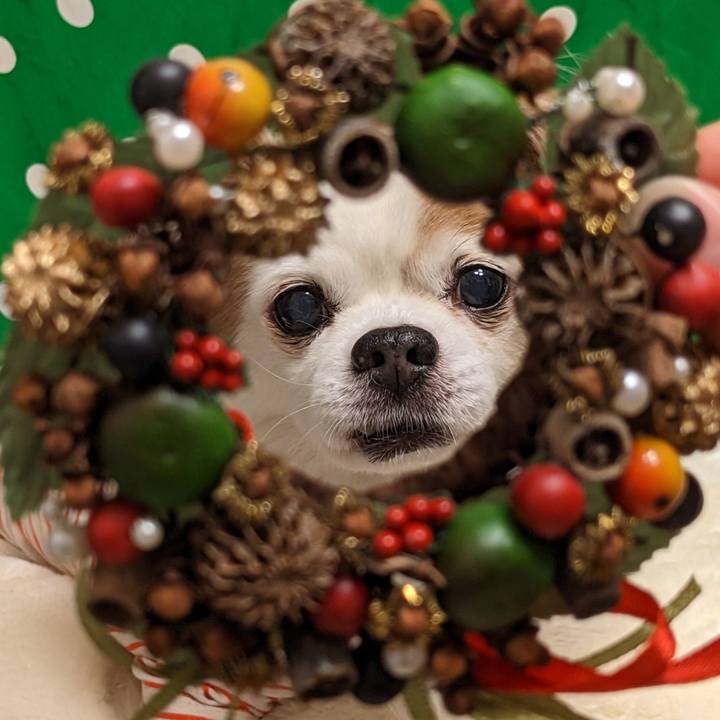 Db4aaae6 ee0c 4932 b826 ec4d4678ecf5 1671977459515