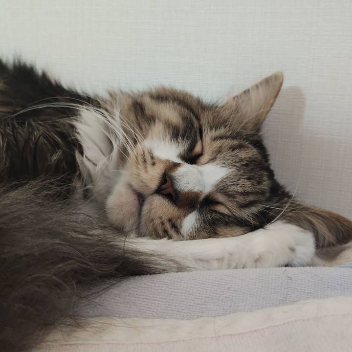 Db4ab69b 7bdf 4b54 8216 550021b42529 1772382373159