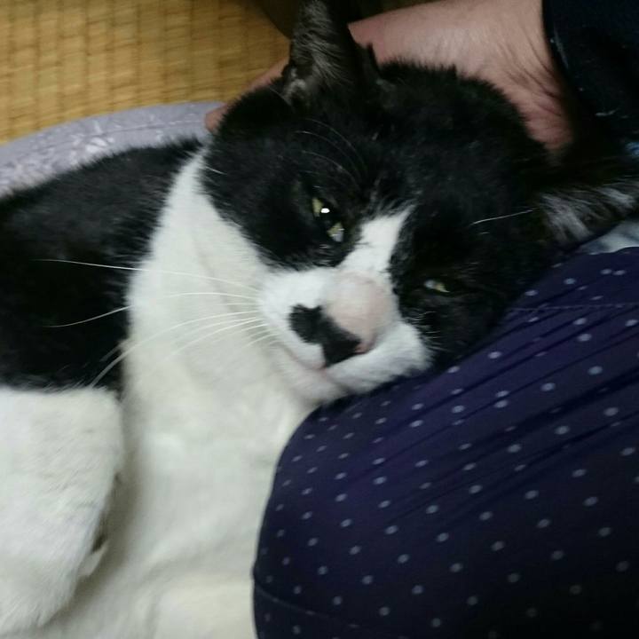 Db4ab9c6 d028 465c bb6e 27059fd37918 1519205503095