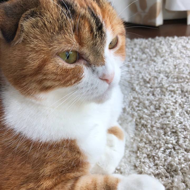 Db4ad136 8dc4 4be8 b851 a745d3e34bac 1525563618958