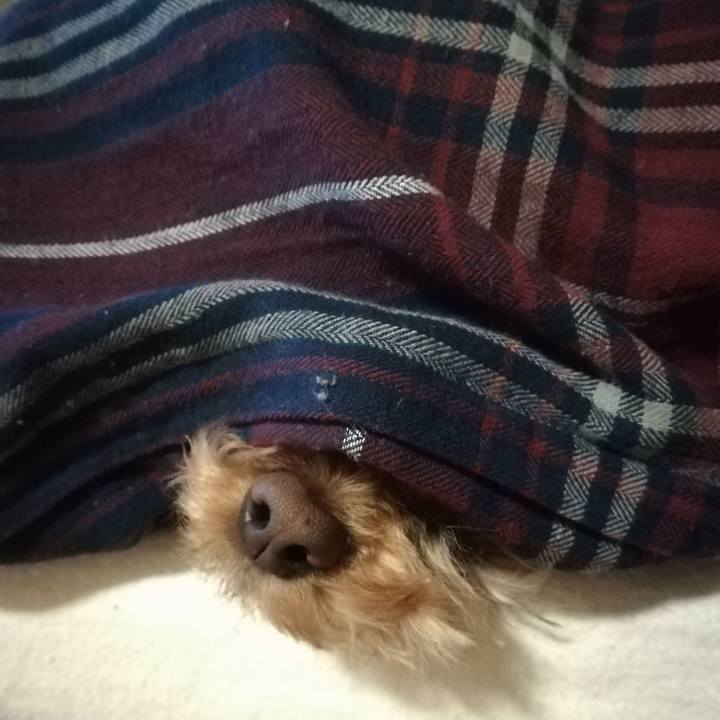 Db4af282 efd1 4381 ba1b 9a1fafd5e4b4 1554064119664