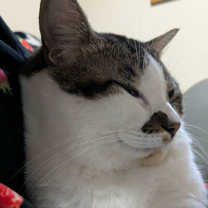 Db4af3a6 e958 4939 a397 8df6c5041d38 1761016476558