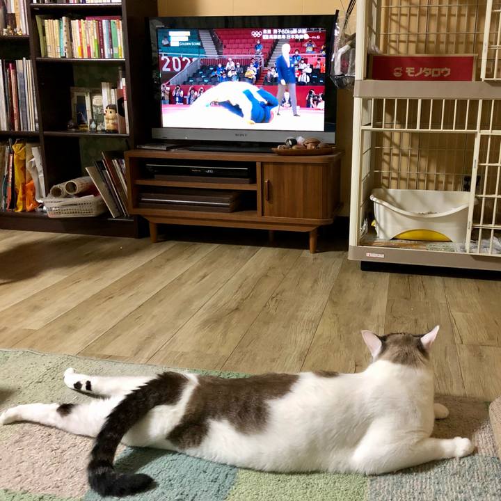 Db4b63e6 801b 43bd 93aa 5bc1461d2c77 1627131295802