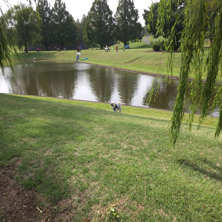 Db4b686a 3087 408f 8e63 6a4083d10bc0 1537165071011