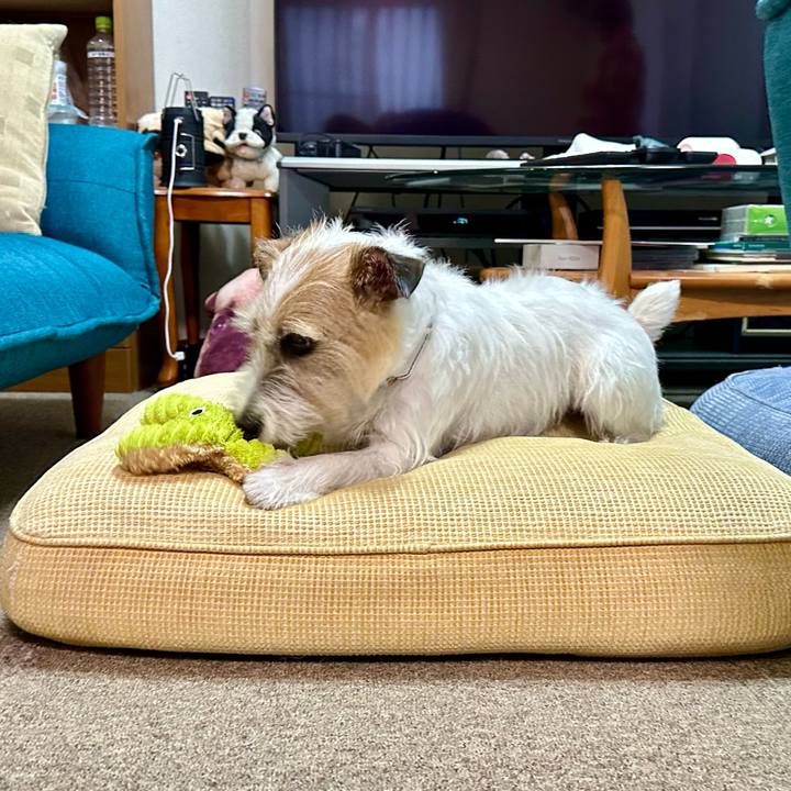 Db4b9165 efde 4c1d 910b 2bc1b4e3e897 1727536205856