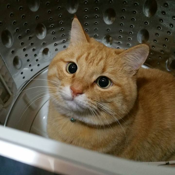 Db4ba0d0 32ef 45fe 8239 354b1222a367 1514158019561