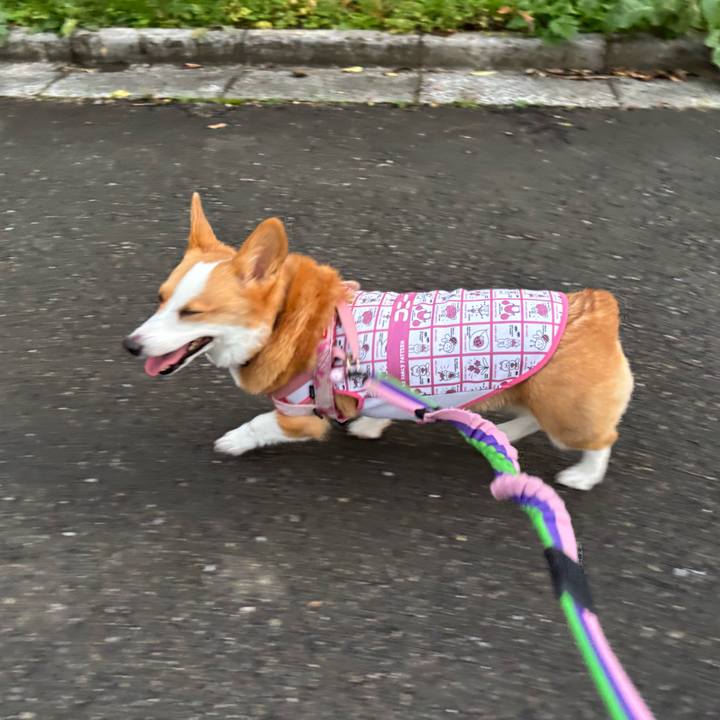 Db4ba8eb 8678 493c 81b4 949d08865ee7 1762074207501