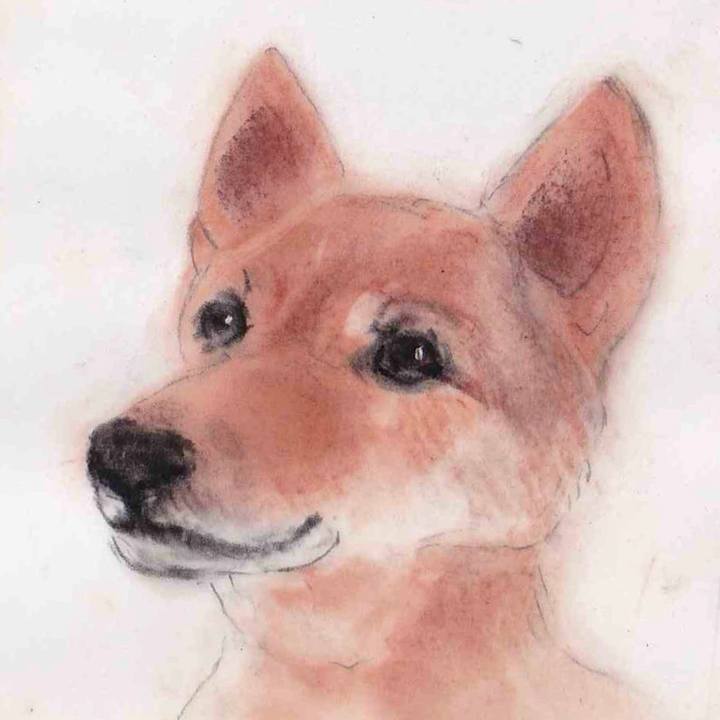 Db4bb532 33b9 48e7 9b0c 394a593e9d89 1644975550770