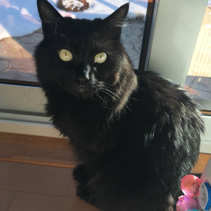 Db4bd93e 1e5f 45c4 bec9 9db9f02f4161 1521528966370