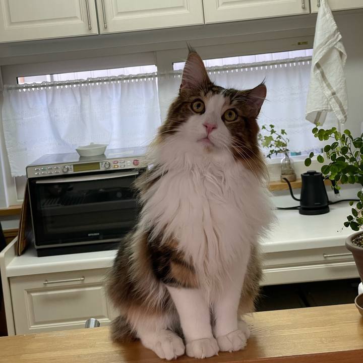 Db4be2e0 8304 4844 8b32 9f52841a4472 1648272400373