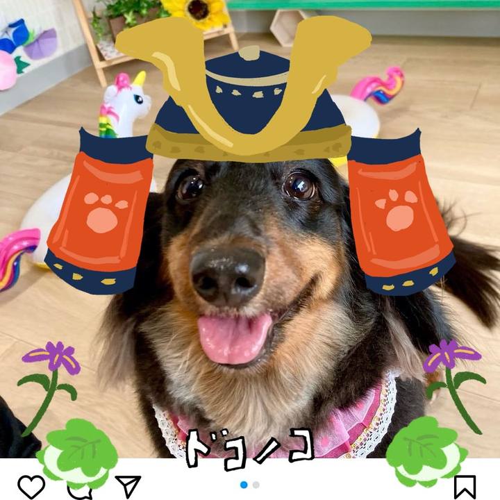 Db4be96e 2e0c 4c40 b816 90e1222d5045 1715149616578