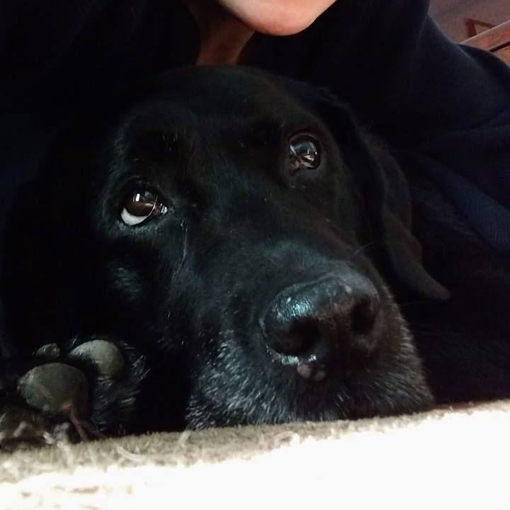 Db4c04d5 487b 4a20 b2ad 2316e06623e2 1691805305137