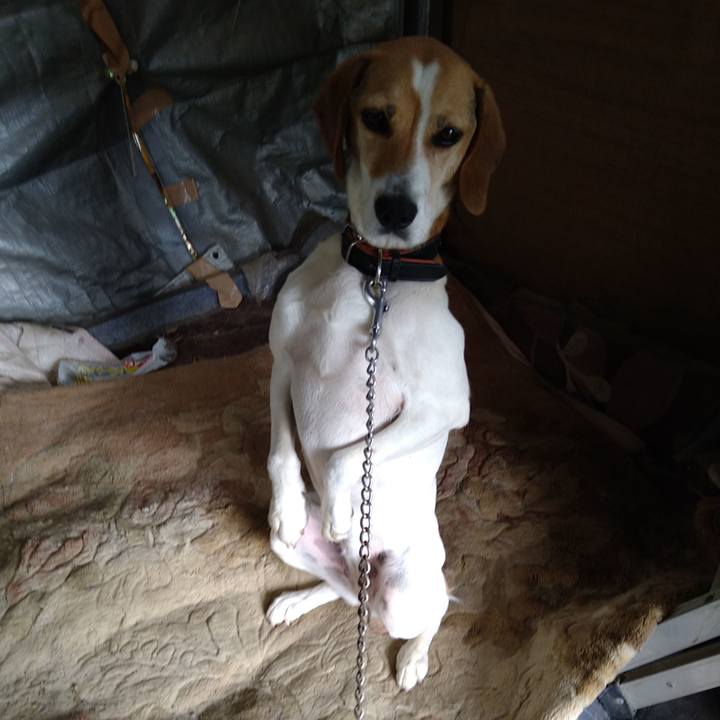 Db4c1670 3289 46b2 9de9 1a3d1cba5b10 1655878245004