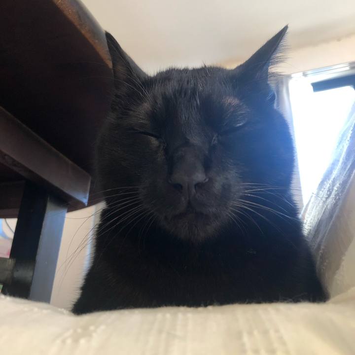 Db4c1867 719d 45fd 840a 374e06abe215 1608628261498