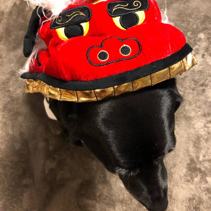 Db4c8930 cd1c 411f b845 002a22640942 1576759318413