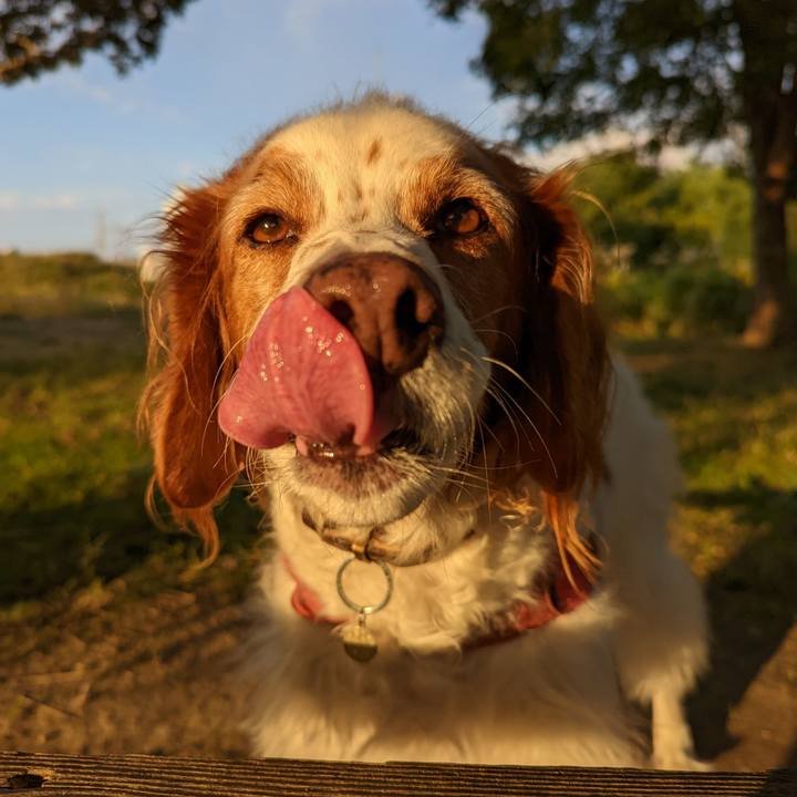 Db4cd132 7e40 461c bb9b d7bac0e63026 1666427205429