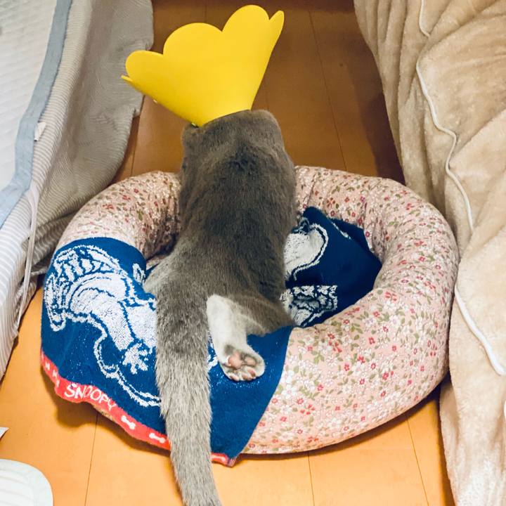 Db4d4766 5687 46a7 89e1 fbf28caf98c8 1632011103938