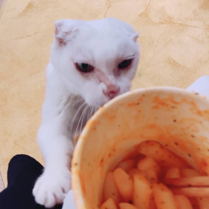 Db4d6f0d 18a0 40e1 8409 b18fab7577d6 1539851725383