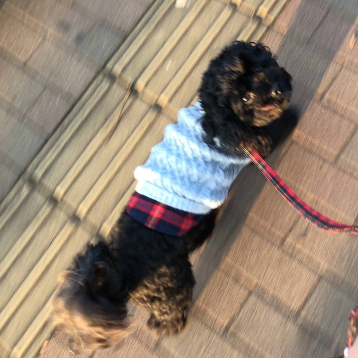 Db4d8662 f536 4344 ab41 766612430eff 1539820468211