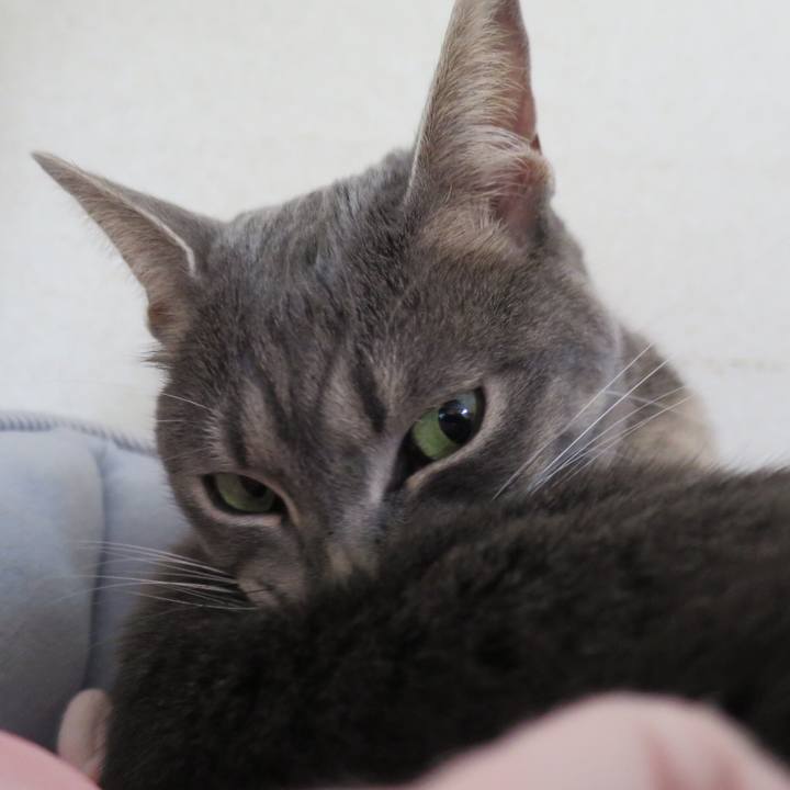 Db4d916d 633a 49d5 a125 23b6a3baa520 1527298143577