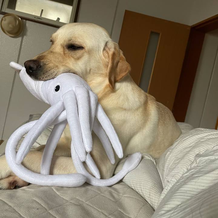 Db4d9b0d b244 499f b1e7 3ad69a540633 1655247897430