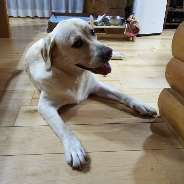 Db4dca7b 7d00 41b8 965a c29443143a55 1535195736323