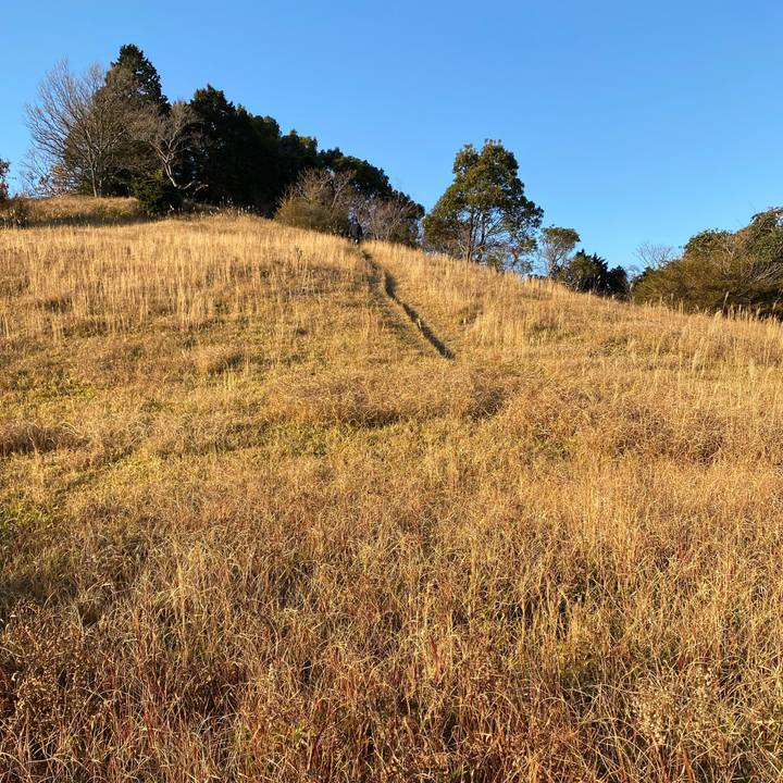 Db4dd1a7 9d62 4fac 8a1f 683f53b49539 1643616634918